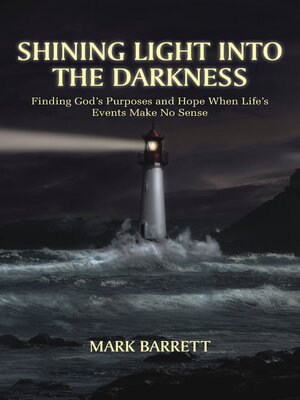 cover image of SHINING LIGHT INTO THE DARKNESS